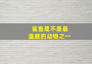 鲨鱼是不是最温顺的动物之一