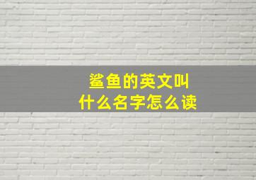 鲨鱼的英文叫什么名字怎么读