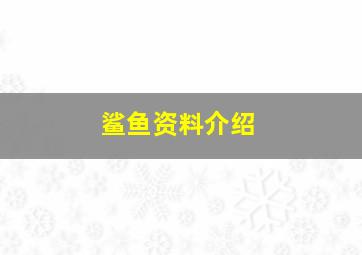 鲨鱼资料介绍