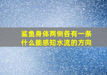 鲨鱼身体两侧各有一条什么能感知水流的方向