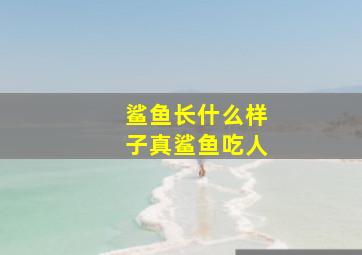 鲨鱼长什么样子真鲨鱼吃人