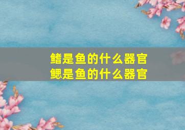 鳍是鱼的什么器官鳃是鱼的什么器官