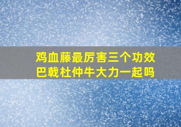 鸡血藤最厉害三个功效巴戟杜仲牛大力一起吗