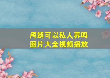 鸬鹚可以私人养吗图片大全视频播放