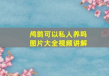 鸬鹚可以私人养吗图片大全视频讲解