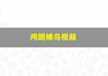 鸬鹚捕鸟视频