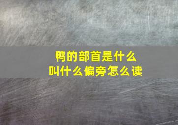 鸭的部首是什么叫什么偏旁怎么读