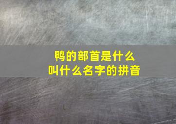 鸭的部首是什么叫什么名字的拼音