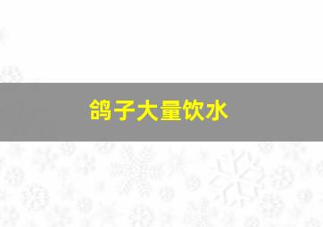 鸽子大量饮水