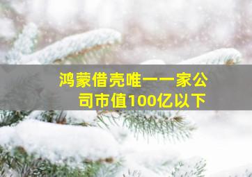 鸿蒙借壳唯一一家公司市值100亿以下