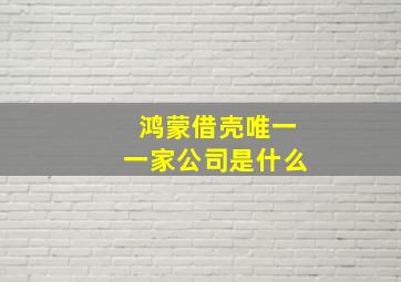 鸿蒙借壳唯一一家公司是什么