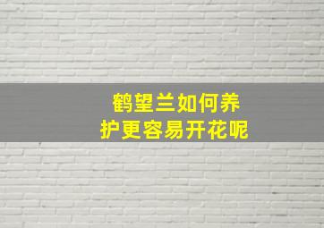 鹤望兰如何养护更容易开花呢