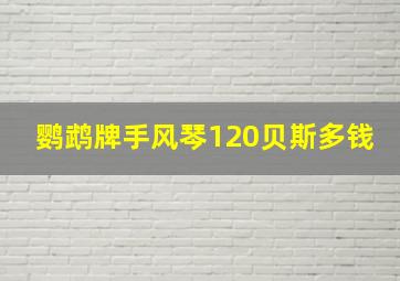 鹦鹉牌手风琴120贝斯多钱