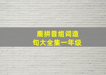 鹿拼音组词造句大全集一年级