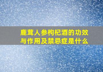 鹿茸人参枸杞酒的功效与作用及禁忌症是什么