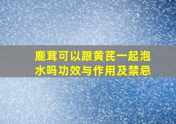 鹿茸可以跟黄芪一起泡水吗功效与作用及禁忌