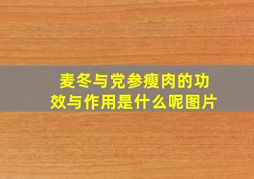 麦冬与党参瘦肉的功效与作用是什么呢图片