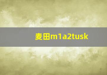 麦田m1a2tusk