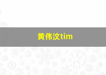 黄伟汶tim