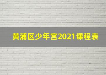 黄浦区少年宫2021课程表