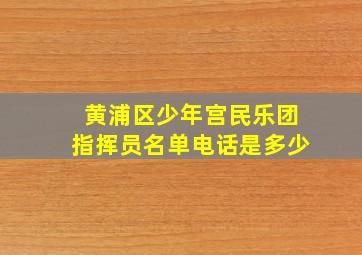 黄浦区少年宫民乐团指挥员名单电话是多少