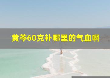 黄芩60克补哪里的气血啊