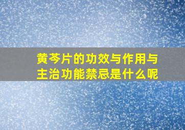 黄芩片的功效与作用与主治功能禁忌是什么呢