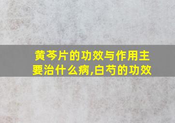 黄芩片的功效与作用主要治什么病,白芍的功效