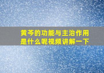 黄芩的功能与主治作用是什么呢视频讲解一下