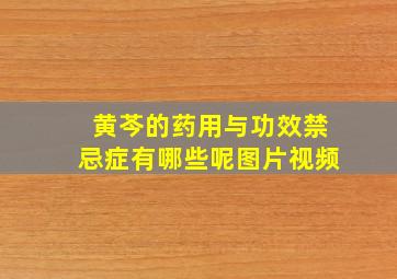 黄芩的药用与功效禁忌症有哪些呢图片视频