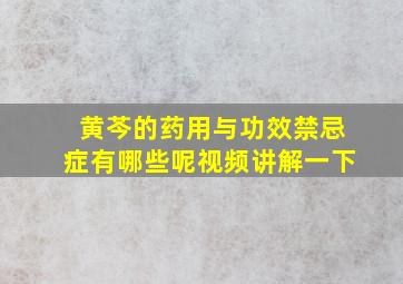 黄芩的药用与功效禁忌症有哪些呢视频讲解一下