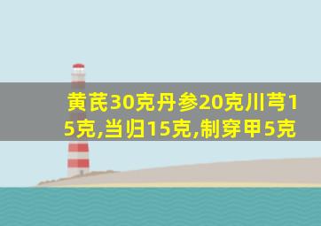 黄芪30克丹参20克川芎15克,当归15克,制穿甲5克