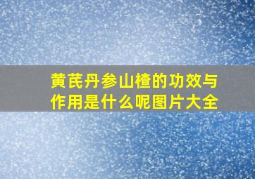 黄芪丹参山楂的功效与作用是什么呢图片大全