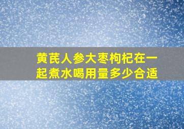 黄芪人参大枣枸杞在一起煮水喝用量多少合适