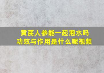 黄芪人参能一起泡水吗功效与作用是什么呢视频