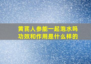 黄芪人参能一起泡水吗功效和作用是什么样的