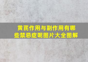 黄芪作用与副作用有哪些禁忌症呢图片大全图解