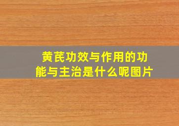 黄芪功效与作用的功能与主治是什么呢图片