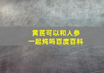 黄芪可以和人参一起炖吗百度百科