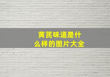 黄芪味道是什么样的图片大全