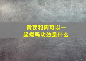 黄芪和肉可以一起煮吗功效是什么