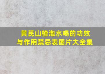 黄芪山楂泡水喝的功效与作用禁忌表图片大全集