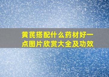 黄芪搭配什么药材好一点图片欣赏大全及功效