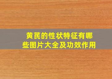 黄芪的性状特征有哪些图片大全及功效作用