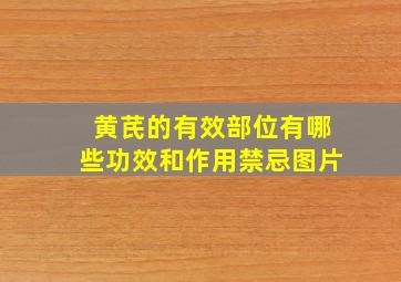 黄芪的有效部位有哪些功效和作用禁忌图片