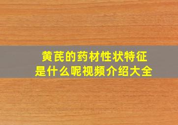 黄芪的药材性状特征是什么呢视频介绍大全