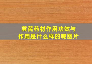 黄芪药材作用功效与作用是什么样的呢图片