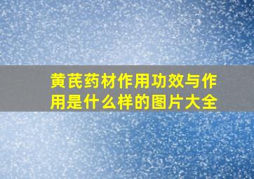 黄芪药材作用功效与作用是什么样的图片大全