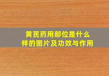 黄芪药用部位是什么样的图片及功效与作用