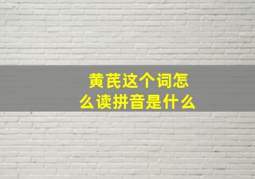 黄芪这个词怎么读拼音是什么